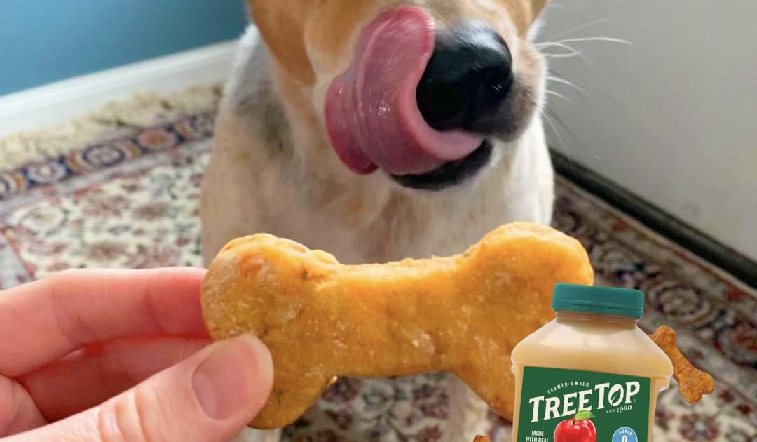 Apple Sauce Dog Treats | Tree Top