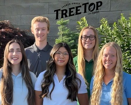 A group of interns at Tree Top